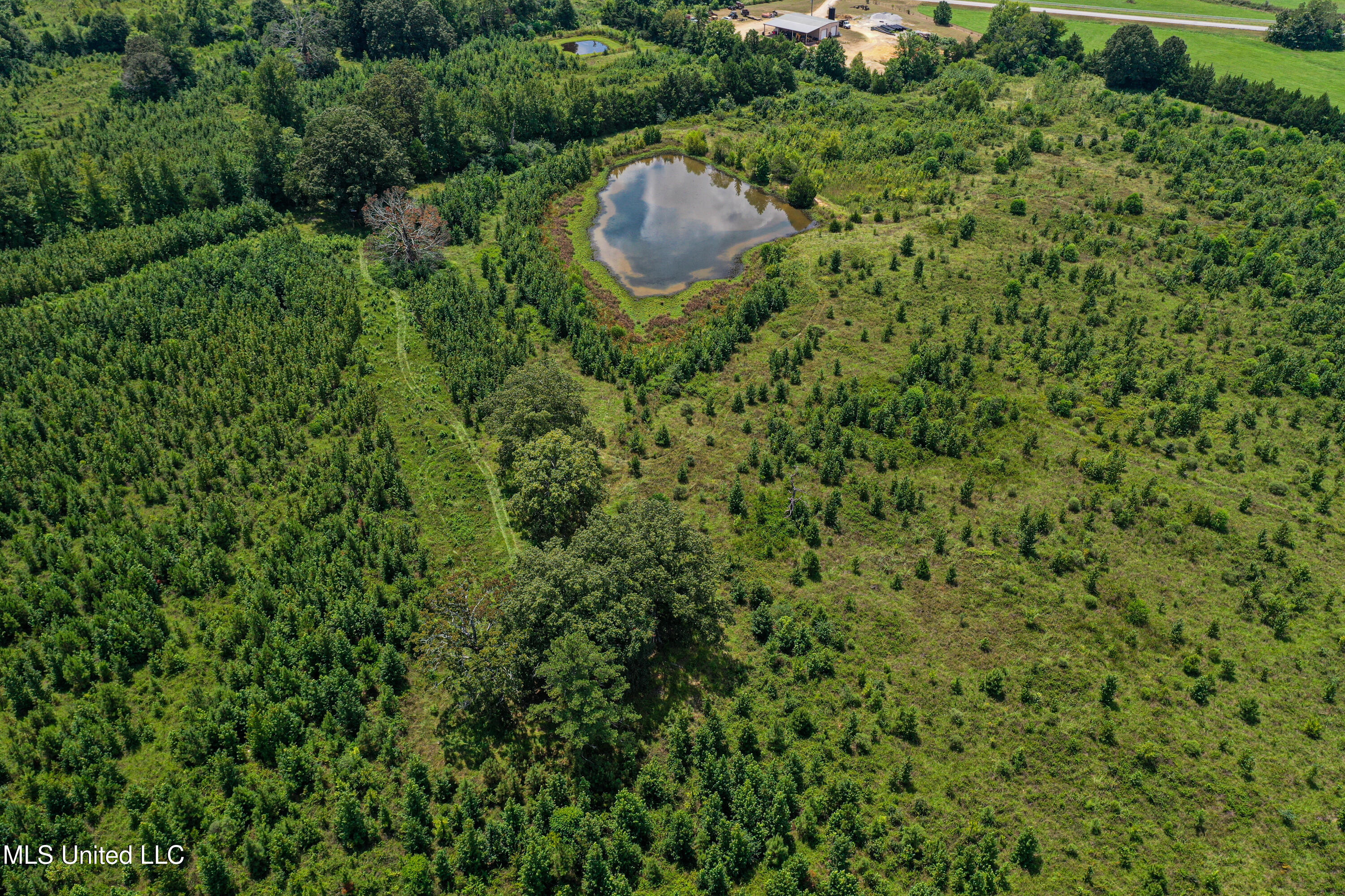1 Hwy 46 West Point Cedarbluff, MS 39741 - Photo 16 of 35 DJI_0387