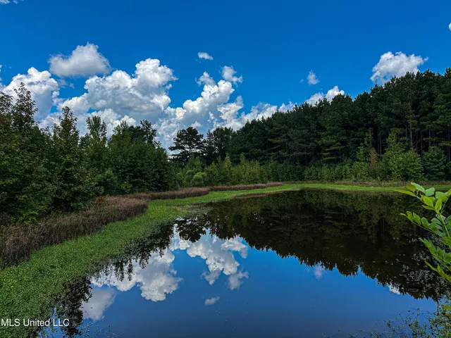 $189,225 | 1 Hwy 46 West Point, Cedarbluff, MS 39741