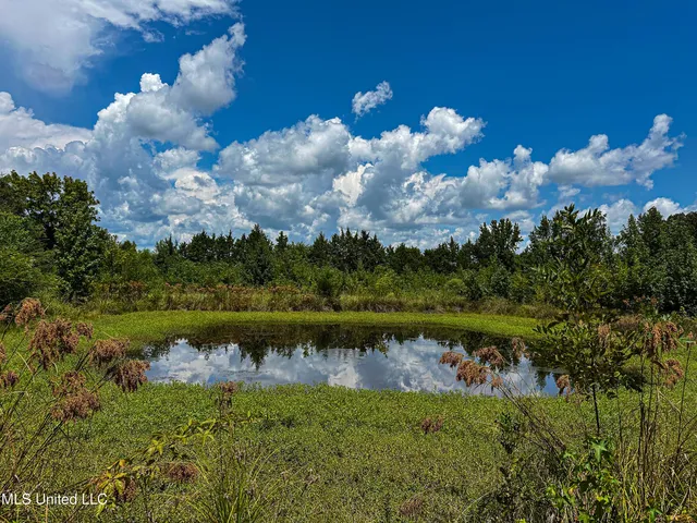 $189,225 | 1 Hwy 46 West Point, Cedarbluff, MS 39741