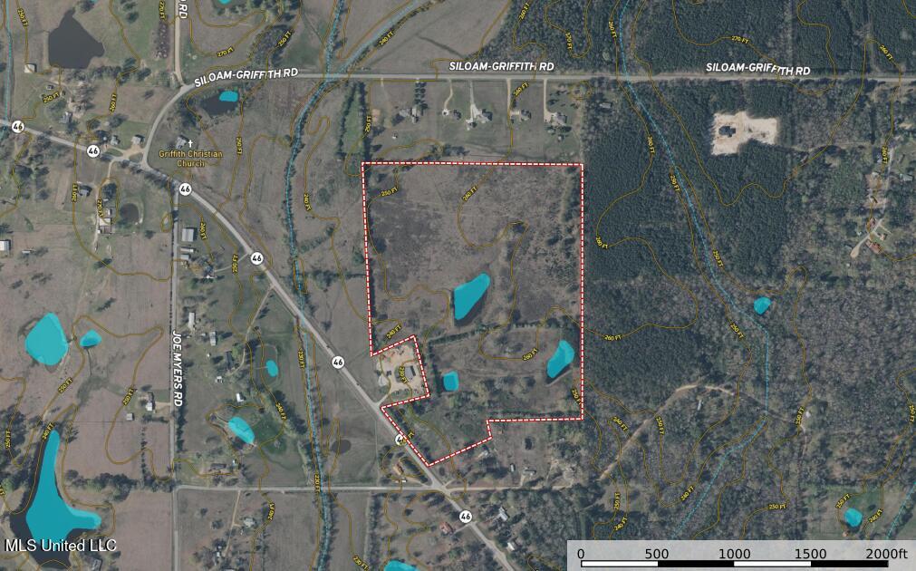 1 Hwy 46 West Point Cedarbluff, MS 39741 - Photo 2 of 35 Screenshot 2025-08-13 170306