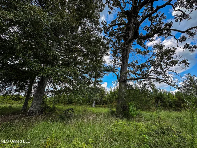 $189,225 | 1 Hwy 46 West Point, Cedarbluff, MS 39741