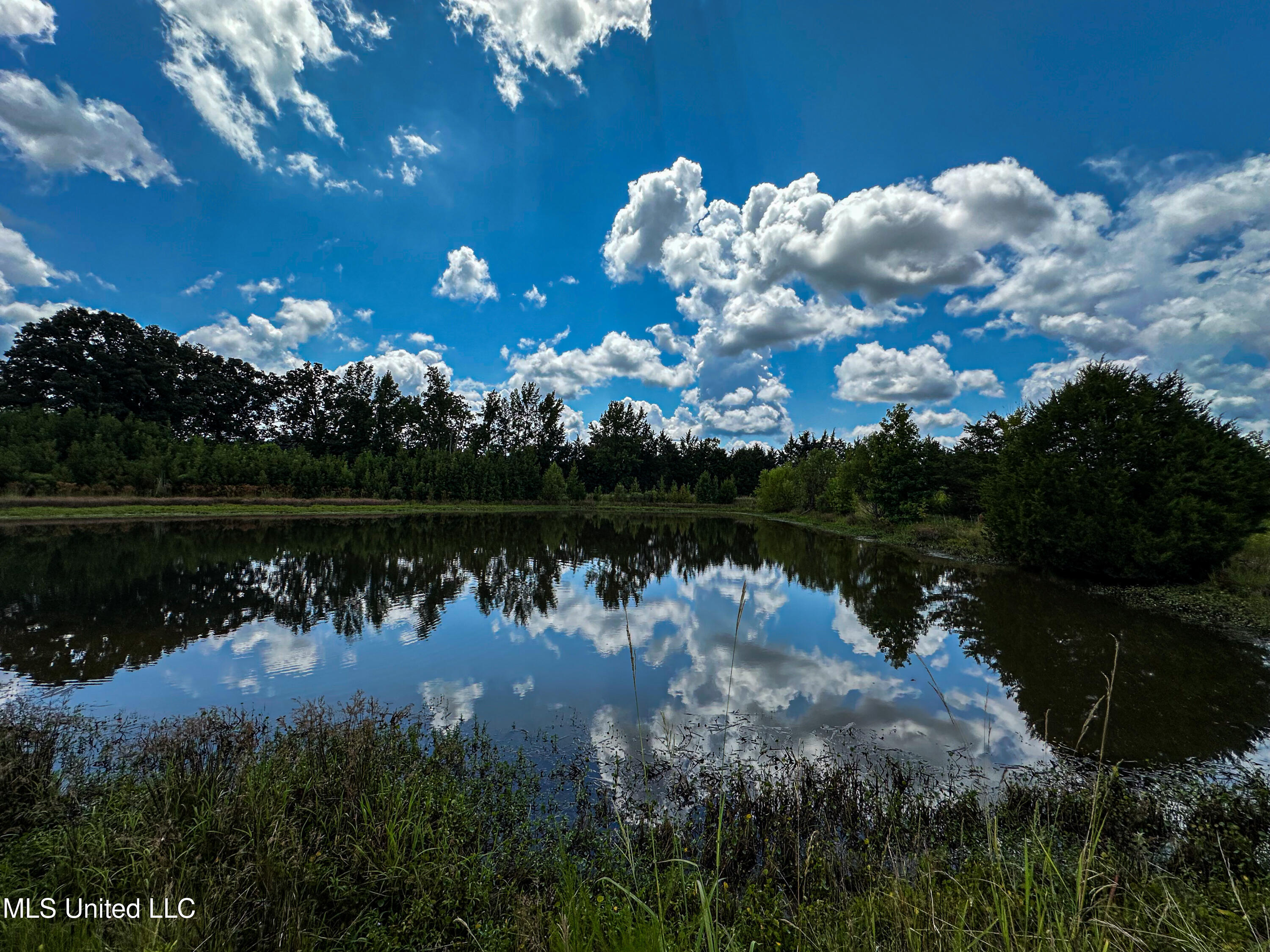1 Hwy 46 West Point Cedarbluff, MS 39741 - Photo 25 of 35 IMG_5615