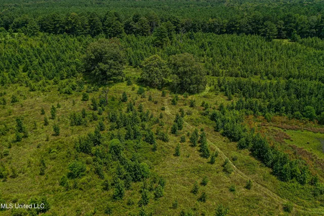 $189,225 | 1 Hwy 46 West Point, Cedarbluff, MS 39741