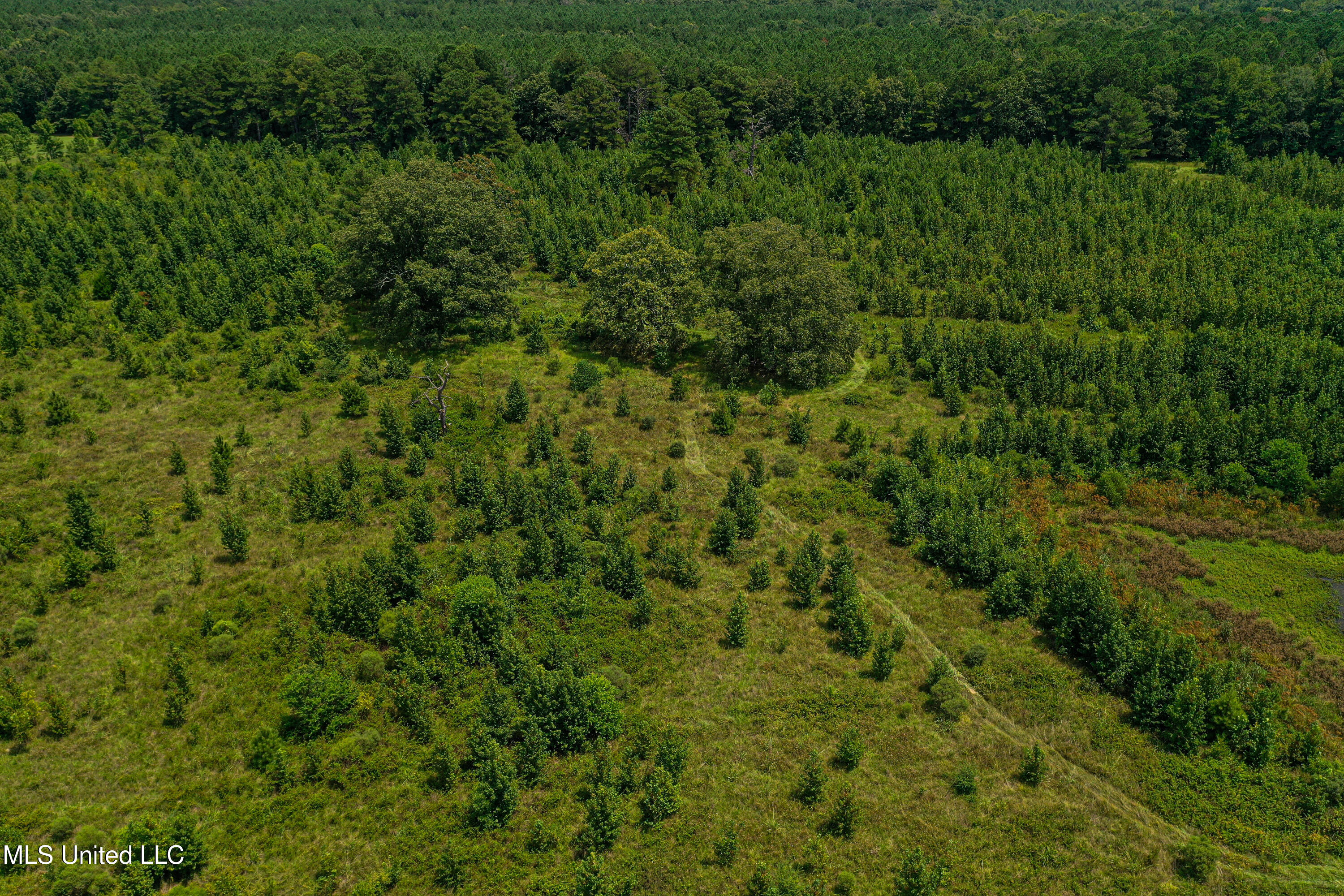 1 Hwy 46 West Point Cedarbluff, MS 39741 - Photo 26 of 35 DJI_0398