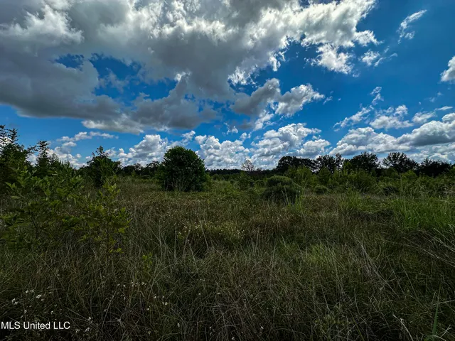 $189,225 | 1 Hwy 46 West Point, Cedarbluff, MS 39741