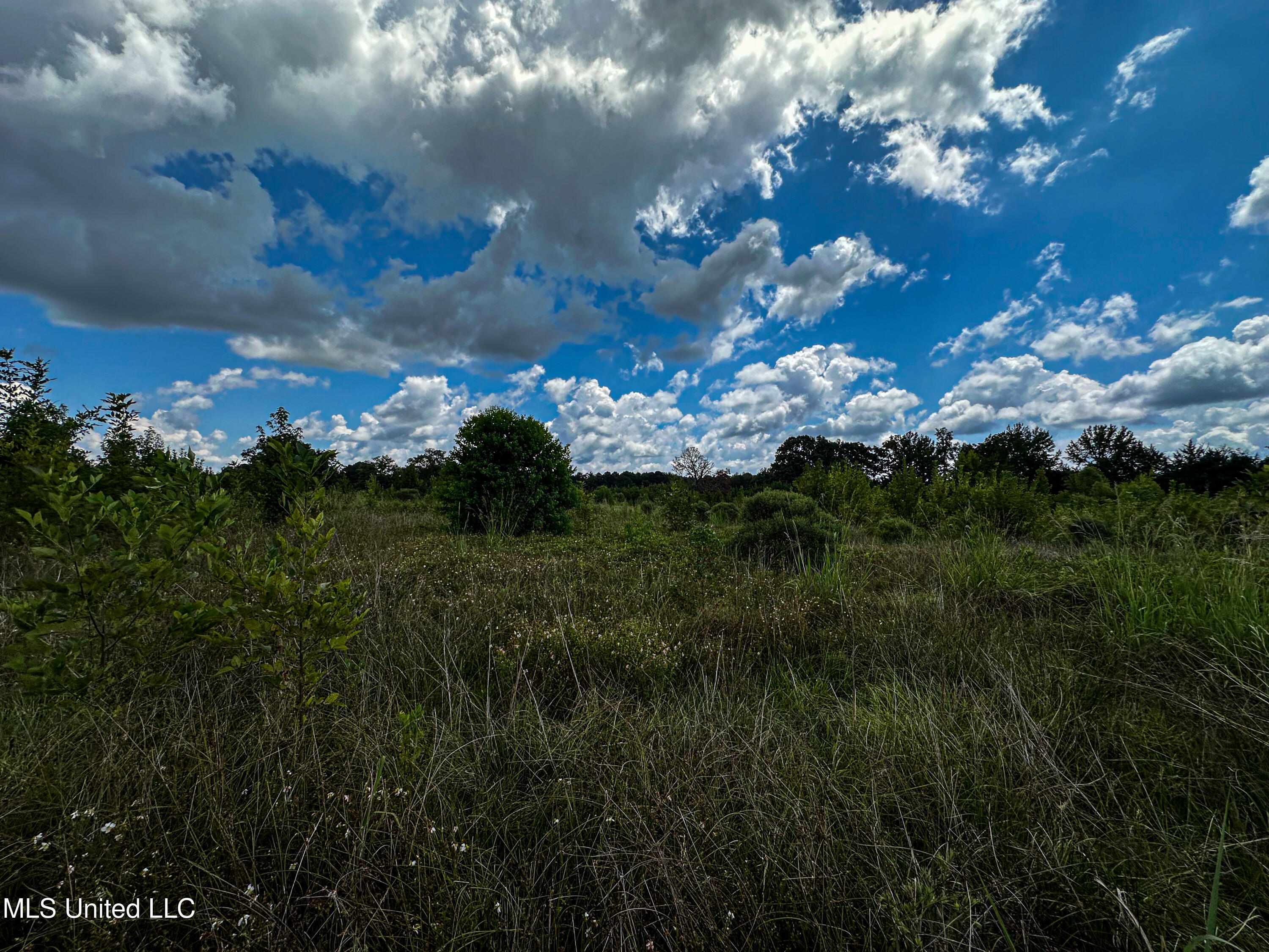 1 Hwy 46 West Point Cedarbluff, MS 39741 - Photo 27 of 35 IMG_5614