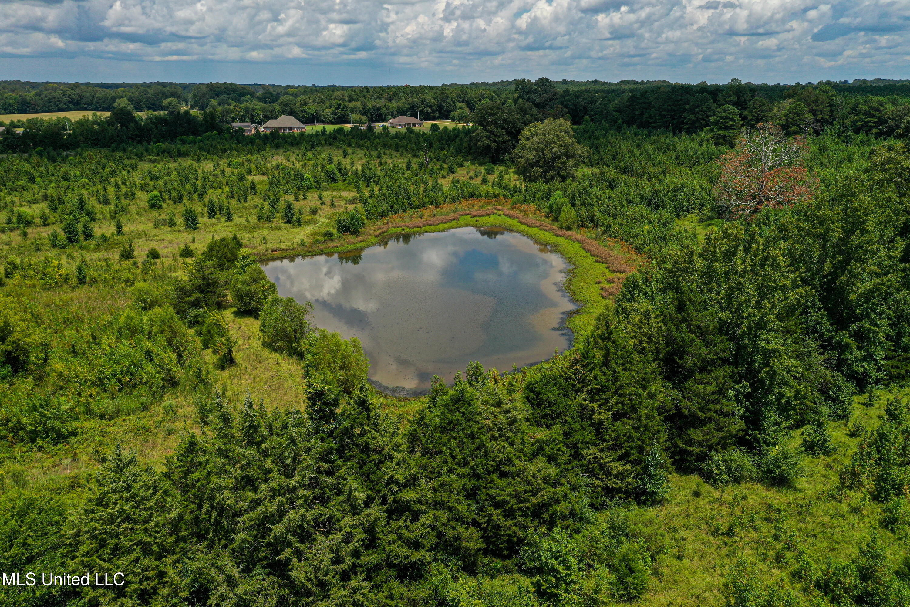 1 Hwy 46 West Point Cedarbluff, MS 39741 - Photo 28 of 35 DJI_0393