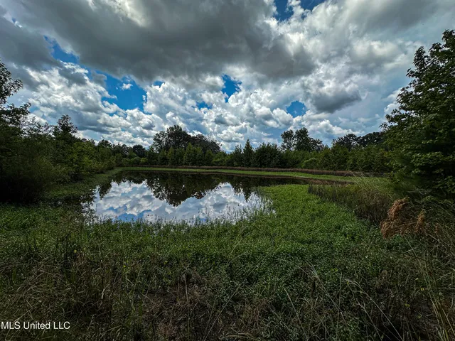 $189,225 | 1 Hwy 46 West Point, Cedarbluff, MS 39741