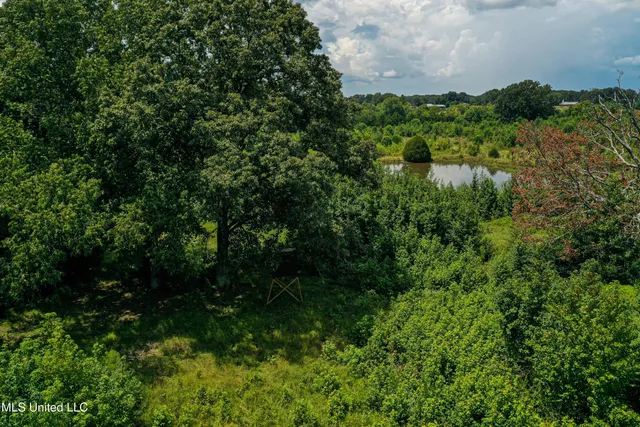 $189,225 | 1 Hwy 46 West Point, Cedarbluff, MS 39741