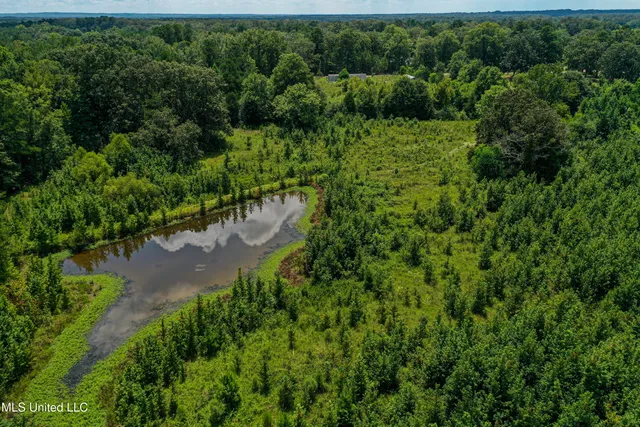 $189,225 | 1 Hwy 46 West Point, Cedarbluff, MS 39741