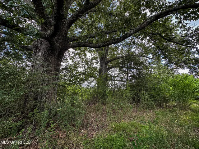 $189,225 | 1 Hwy 46 West Point, Cedarbluff, MS 39741