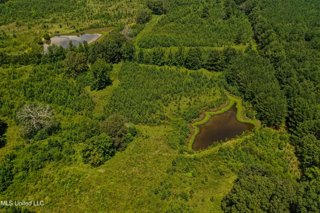 $189,225 | 1 Hwy 46 West Point, Cedarbluff, MS 39741