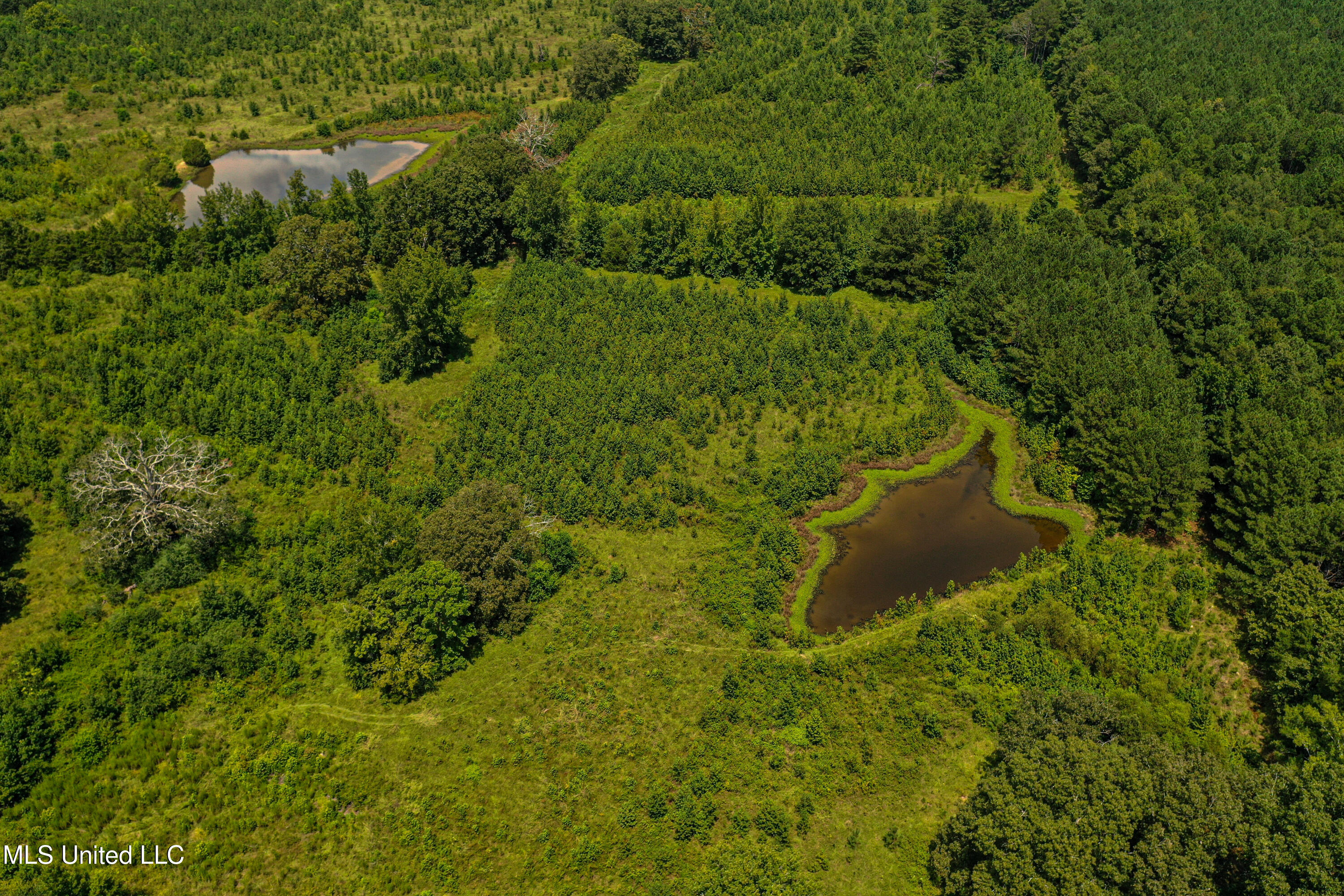 1 Hwy 46 West Point Cedarbluff, MS 39741 - Photo 8 of 35 DJI_0383