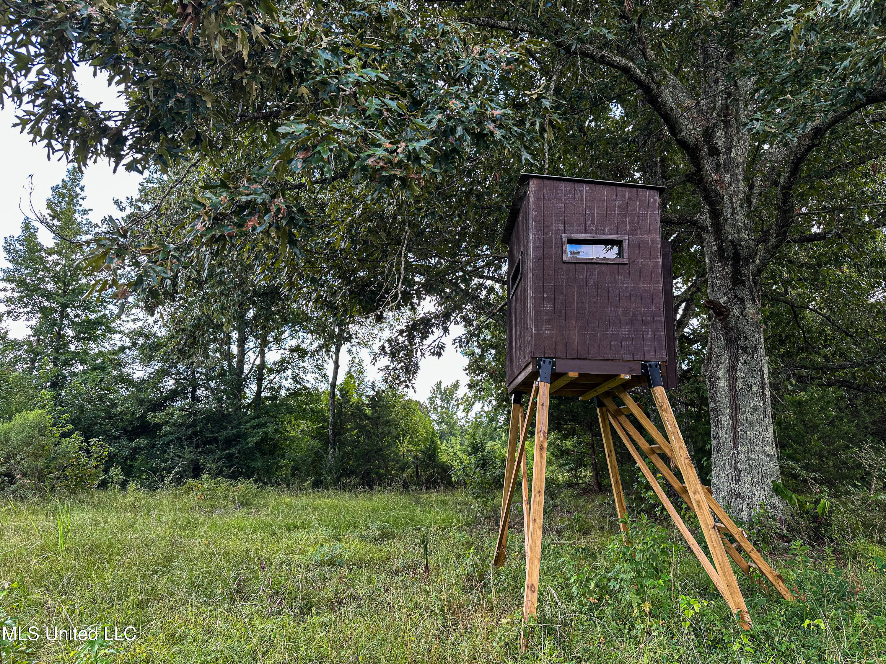 1 Hwy 46 West Point Cedarbluff, MS 39741 - Photo 9 of 35 IMG_5619