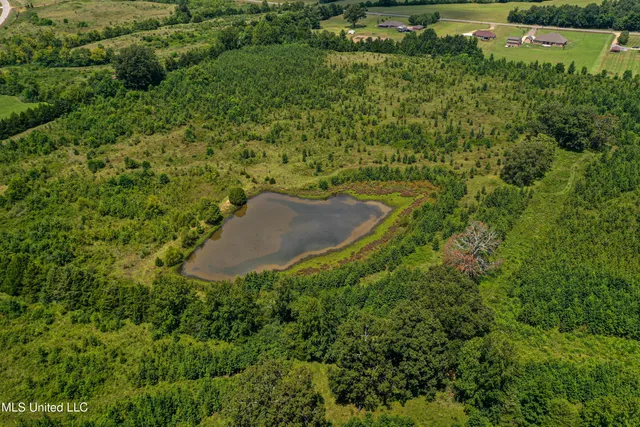 $189,225 | 1 Hwy 46 West Point, Cedarbluff, MS 39741