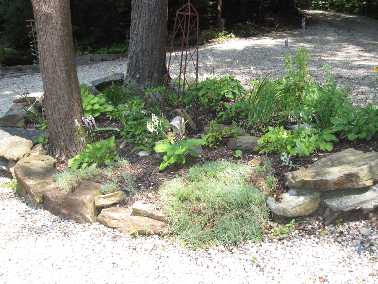 172 Judd Road Otis, MA 01253 - Photo 8 of 21 a view of a garden with a pathway