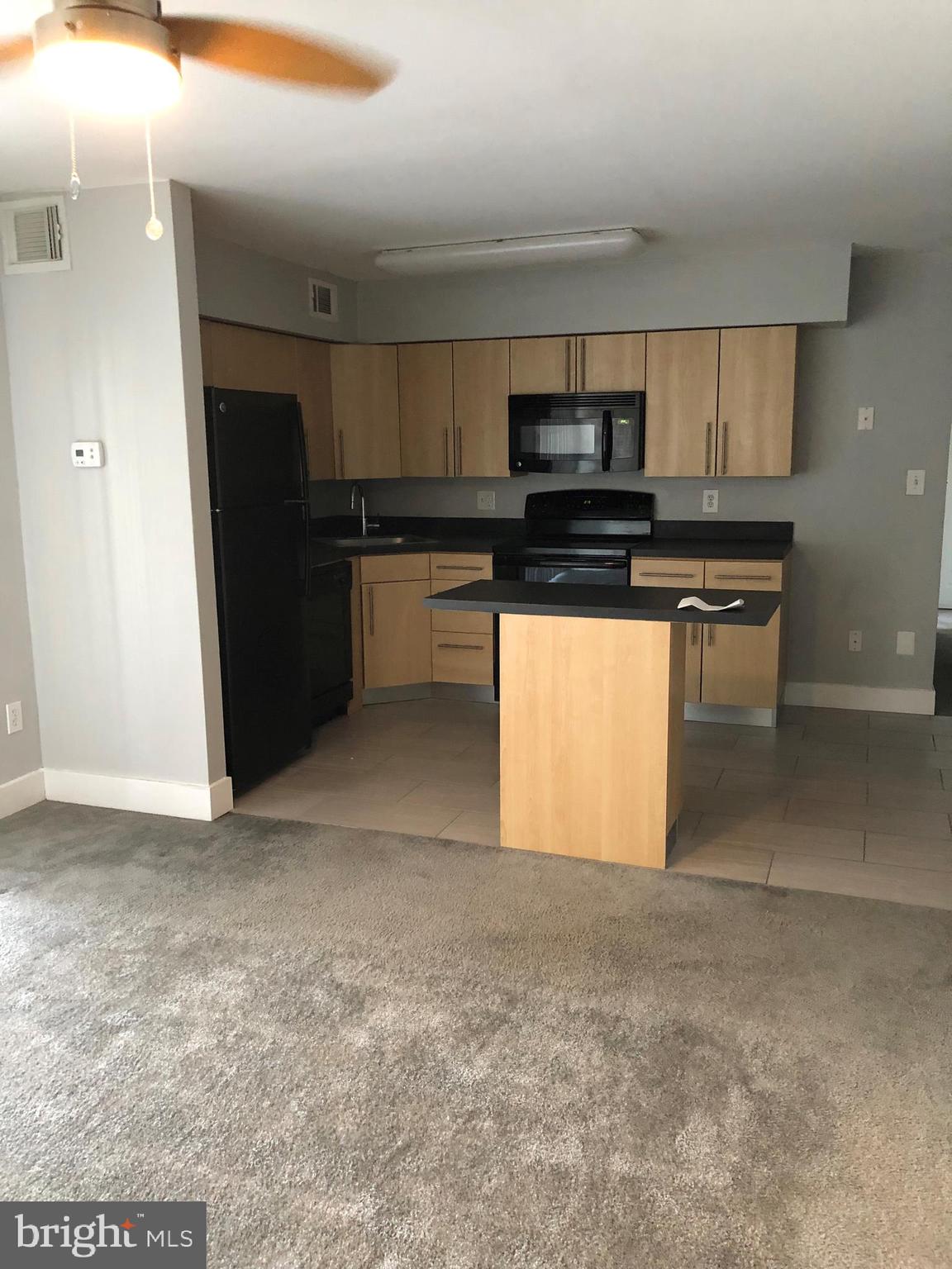 110 C Chestnut Crossing Drive Newark, DE 19713 - Photo 2 of 6 KITCHEN
