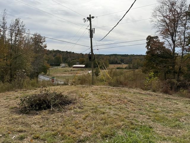 107 Rich Branch Road Cypress Inn, TN 38452 - Photo 12 of 19 Gallery Image 12