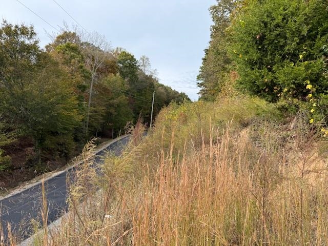 107 Rich Branch Road Cypress Inn, TN 38452 - Photo 13 of 19 Gallery Image 13