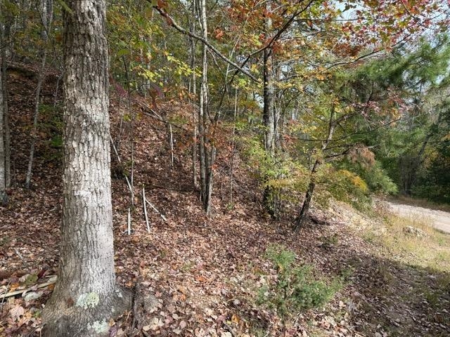 107 Rich Branch Road Cypress Inn, TN 38452 - Photo 16 of 19 Gallery Image 16
