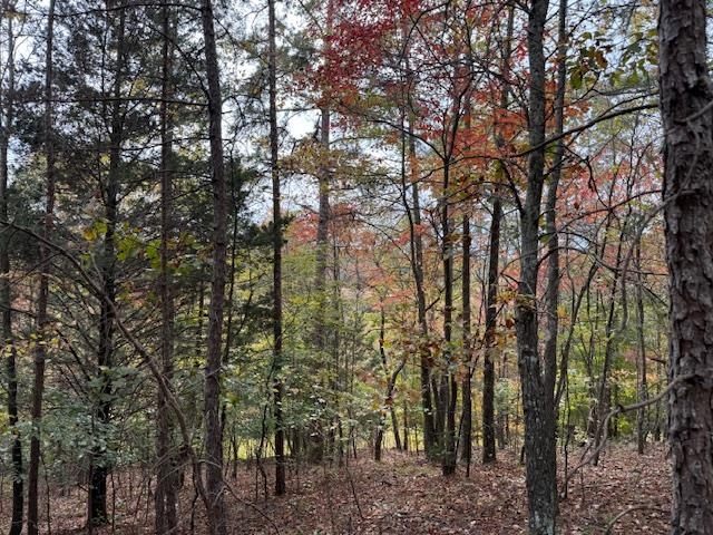 107 Rich Branch Road Cypress Inn, TN 38452 - Photo 18 of 19 Gallery Image 18