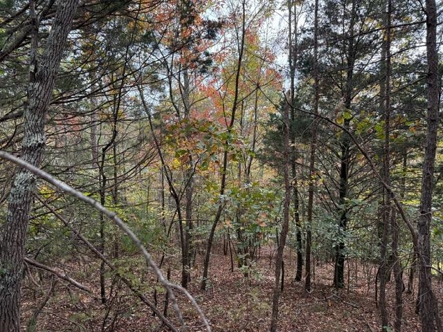 107 Rich Branch Road Cypress Inn, TN 38452 - Photo 19 of 19 Gallery Image 19