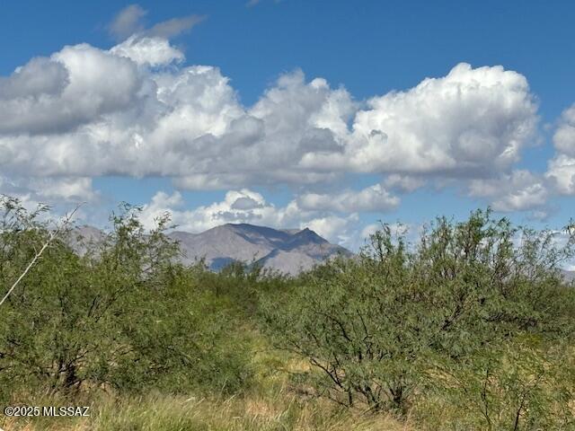 Tbd North Tbd N Central Road, Unit 9/10 Pearce, AZ 85625 - Photo 4 of 7