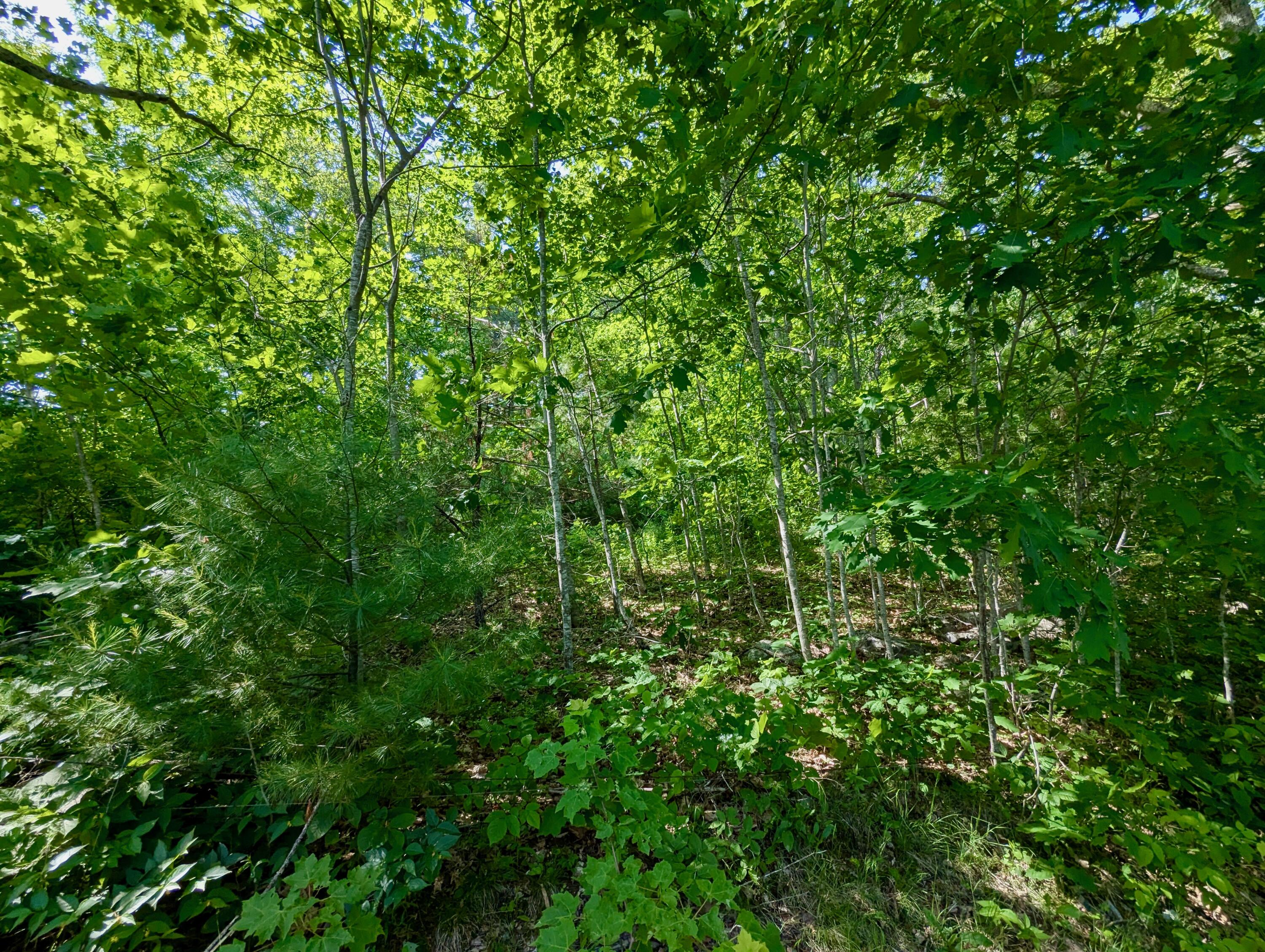 Lot Tbd West Hamlet Road Newcastle, ME 04553 - Photo 14 of 15 PXL_20250616_194555798