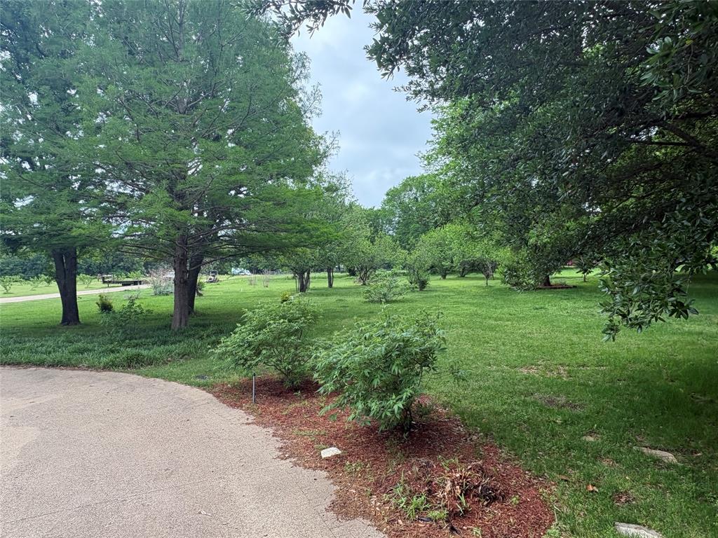6529 Asher Road Alvarado, TX 76009 - Photo 28 of 39 a view of a park with large trees