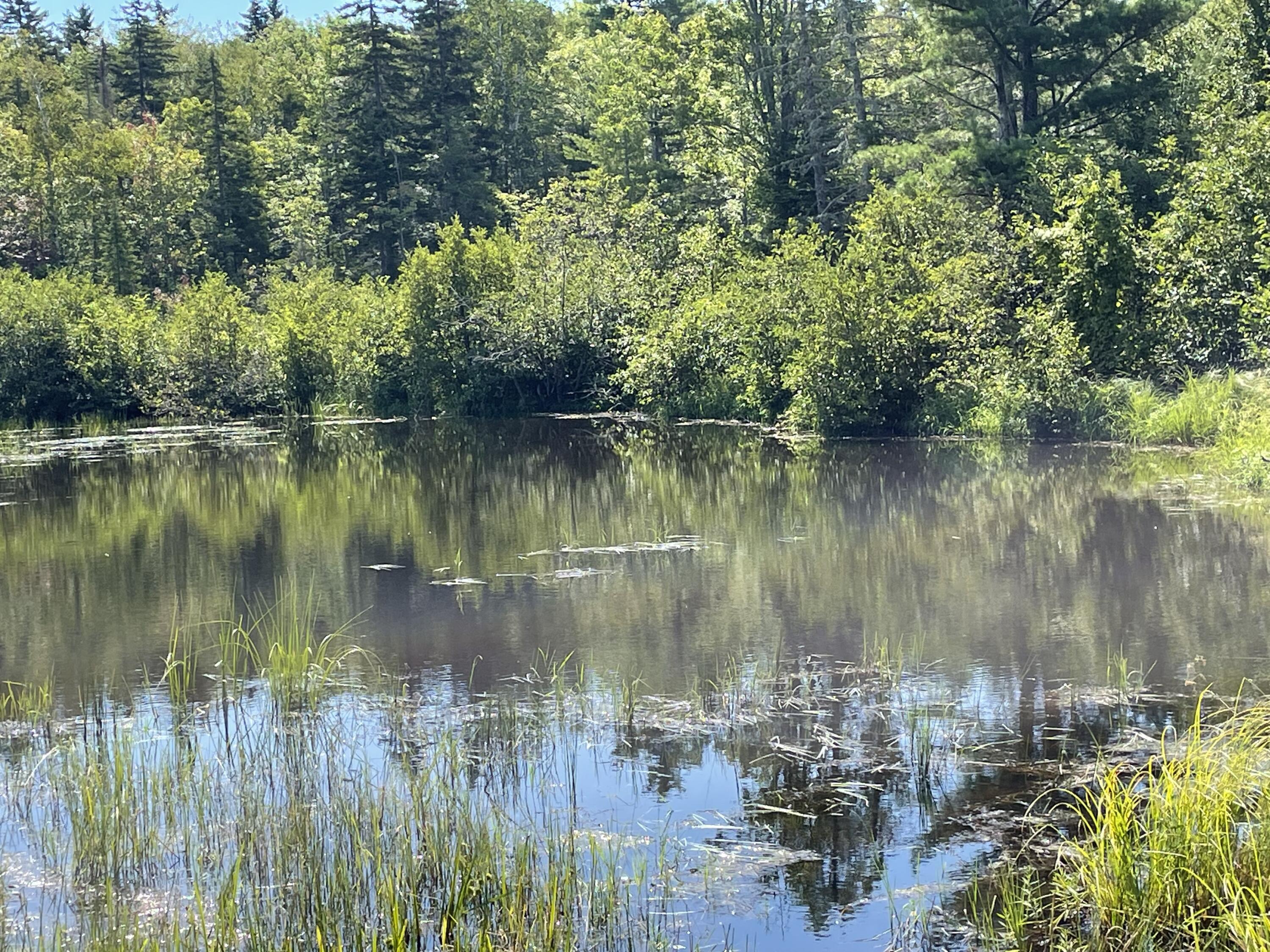 R17-l13 Weld Road Phillips, ME 04966 - Photo 4 of 6 IMG_2045