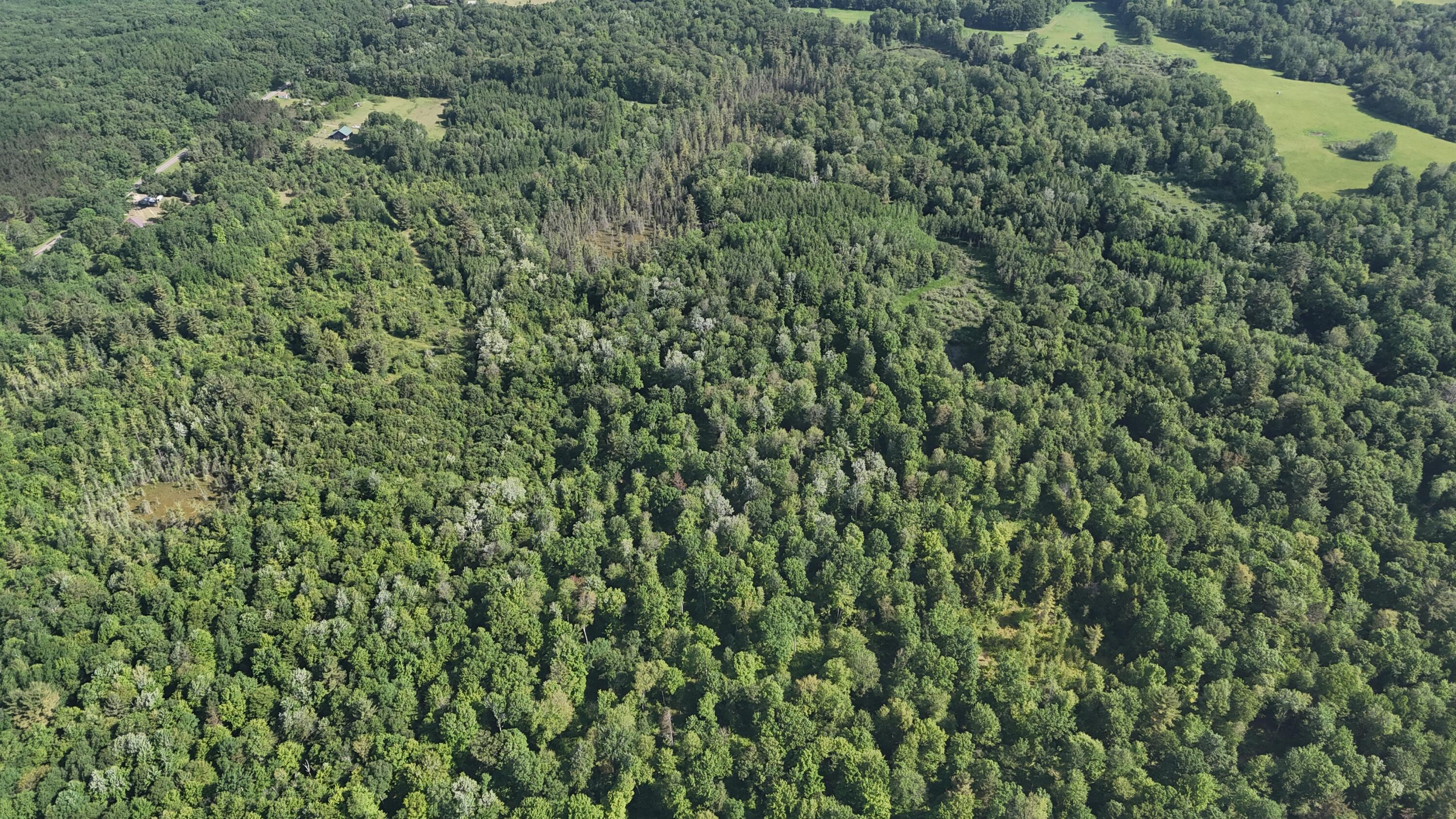 Dickson Road Brethren, MI 49619 - Photo 18 of 27 dji_fly_20250617_100918_0580_17501698446