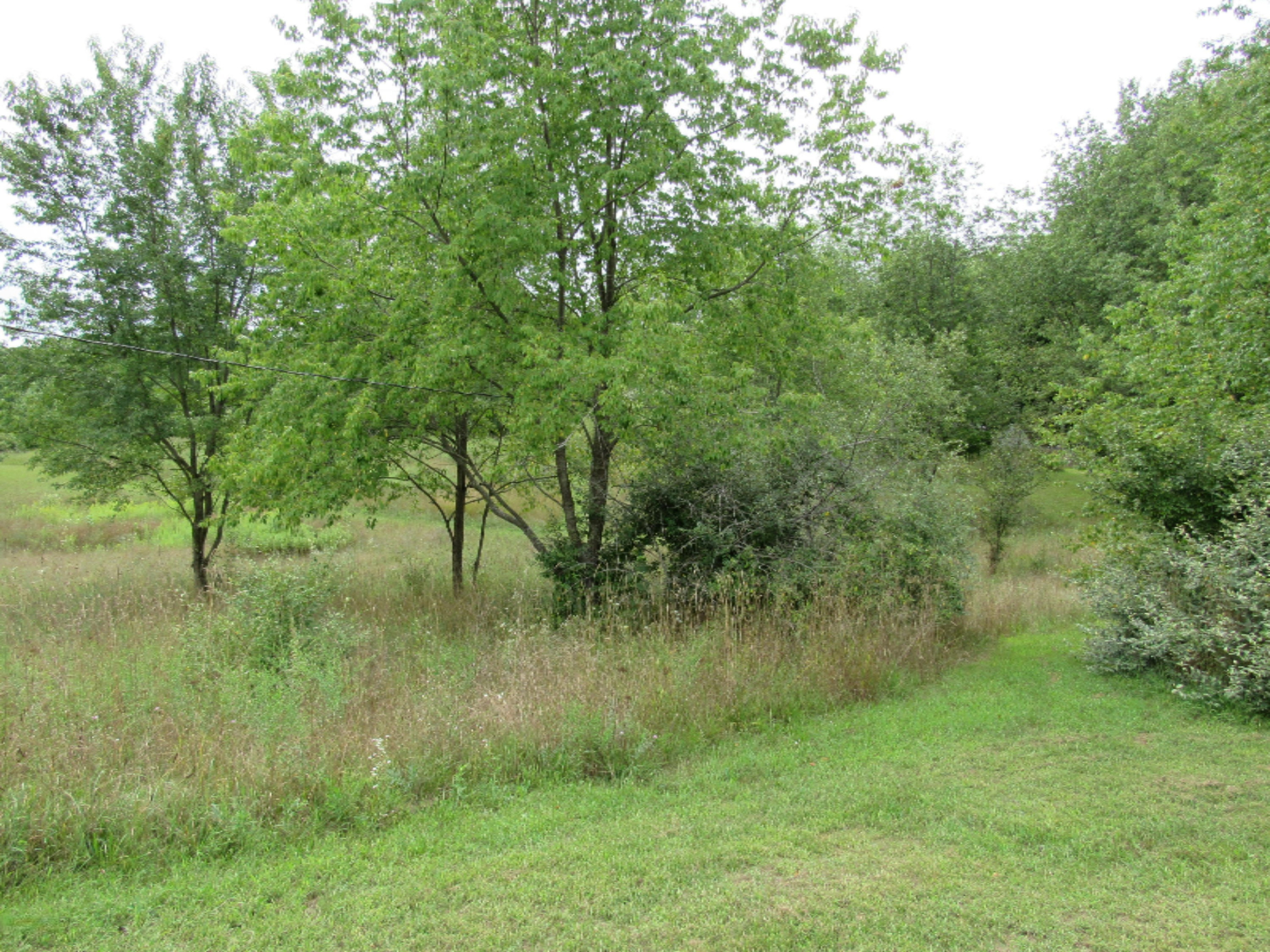 9386 Brown Road Fenwick, MI 48834 - Photo 13 of 138 162