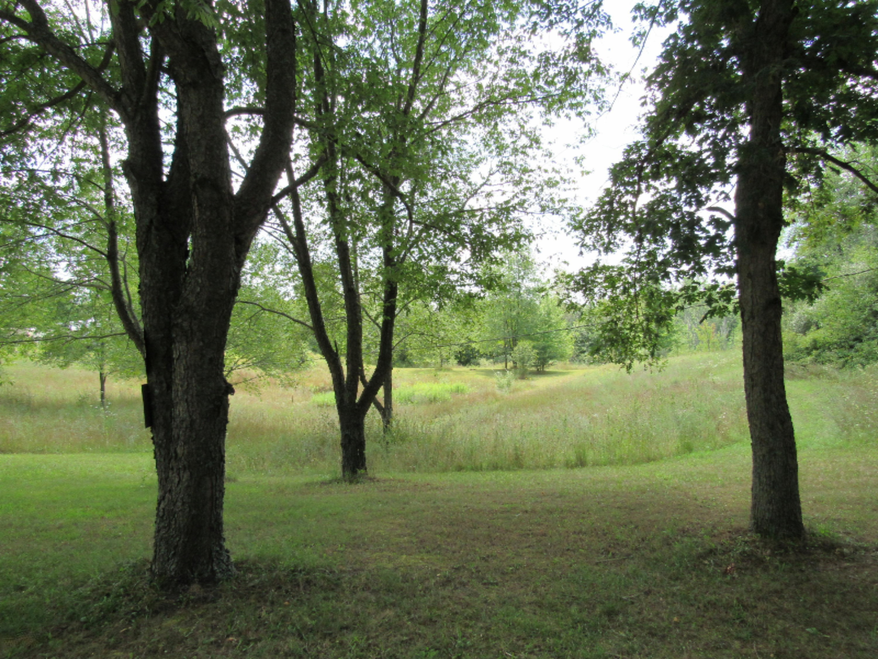 9386 Brown Road Fenwick, MI 48834 - Photo 131 of 138 008