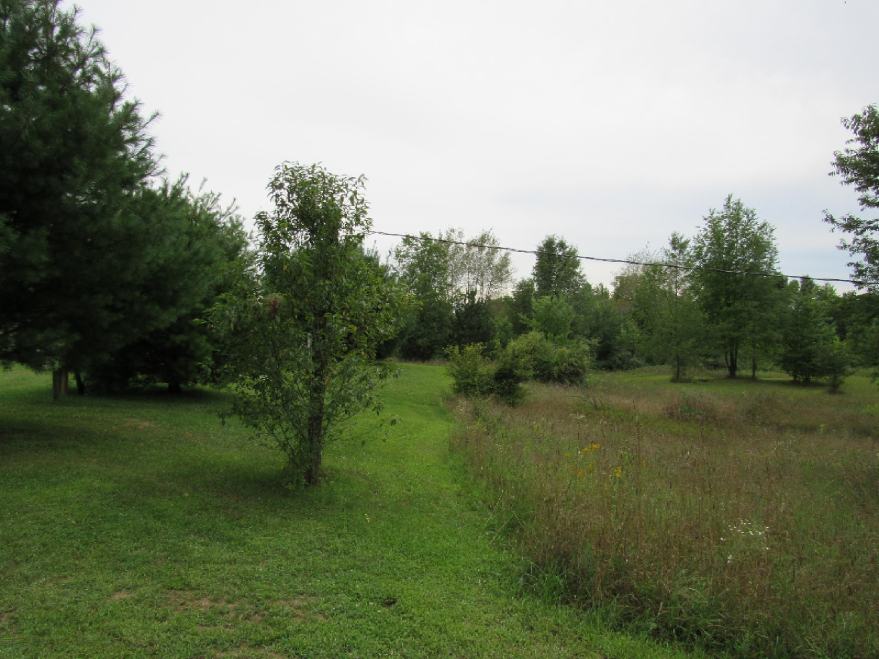 9386 Brown Road Fenwick, MI 48834 - Photo 16 of 138 159