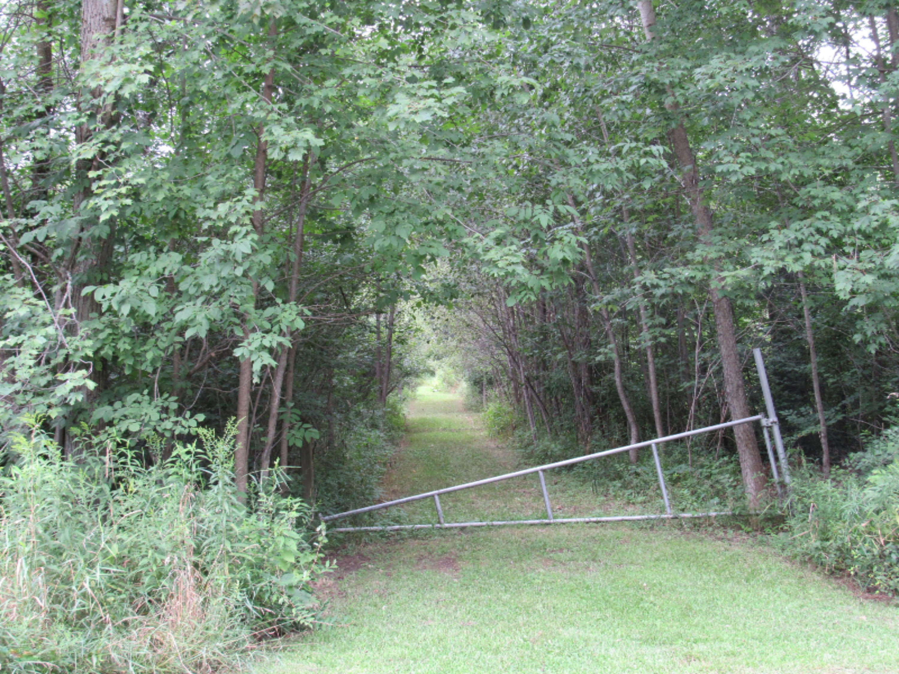 9386 Brown Road Fenwick, MI 48834 - Photo 20 of 138 167