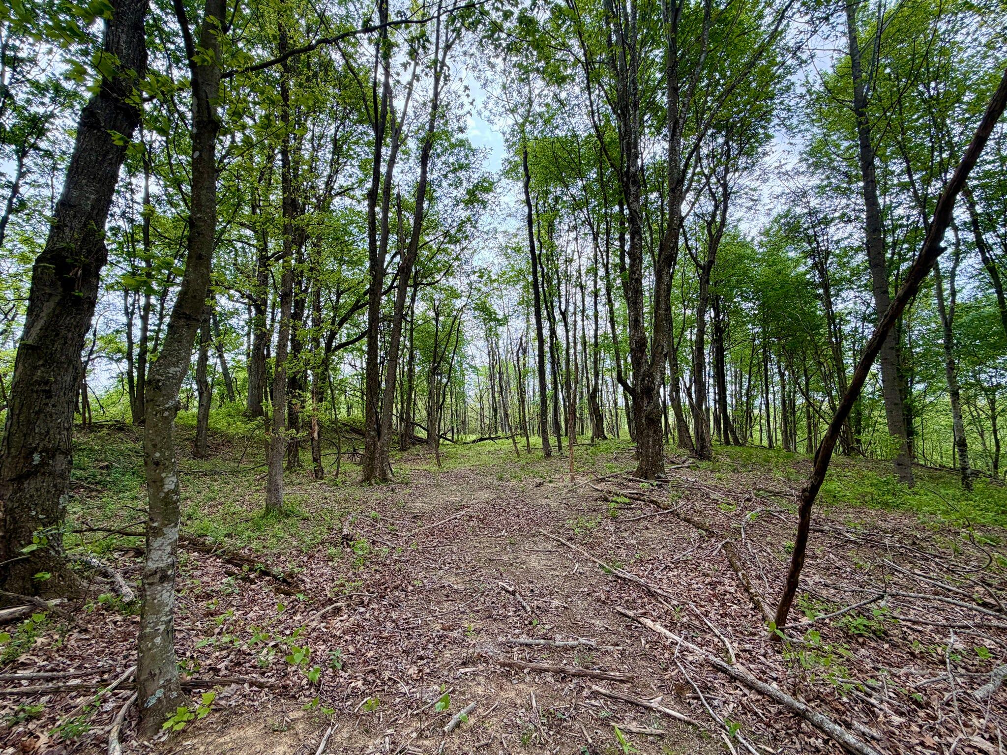 1271 A Tunnel Ridge Road Grayson, KY 41143 - Photo 115 of 134 Trail