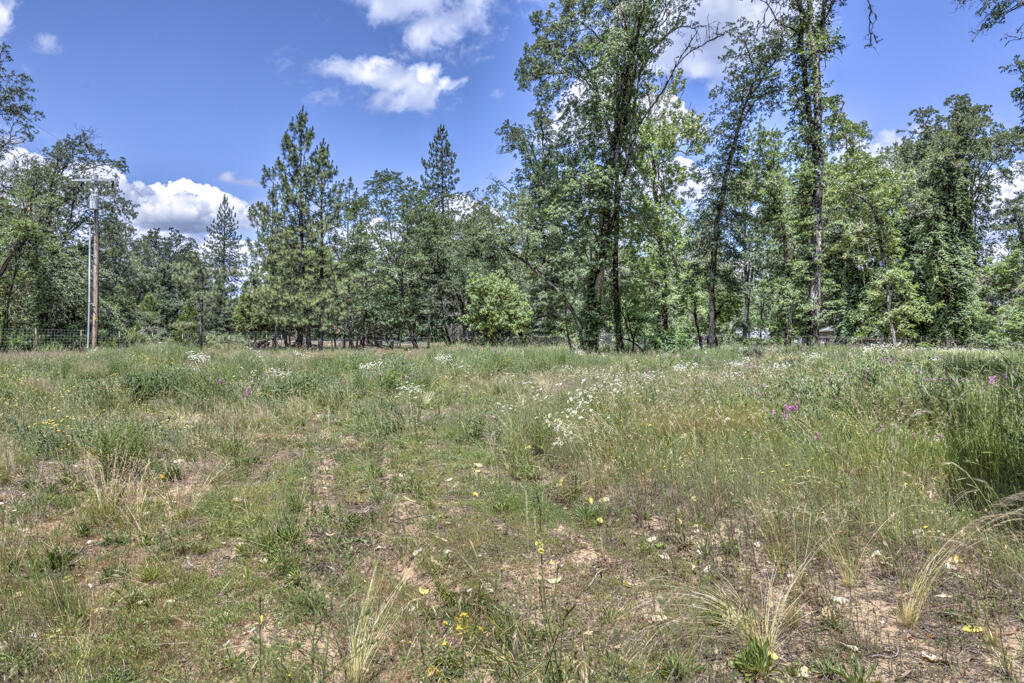 4723 Holland Loop Road Cave Junction, OR 97523 - Photo 50 of 55 4723HollandLoop-6