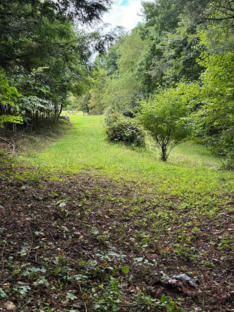450 High Point Road Woodlawn, VA 24381 - Photo 52 of 55 Gallery Image 52