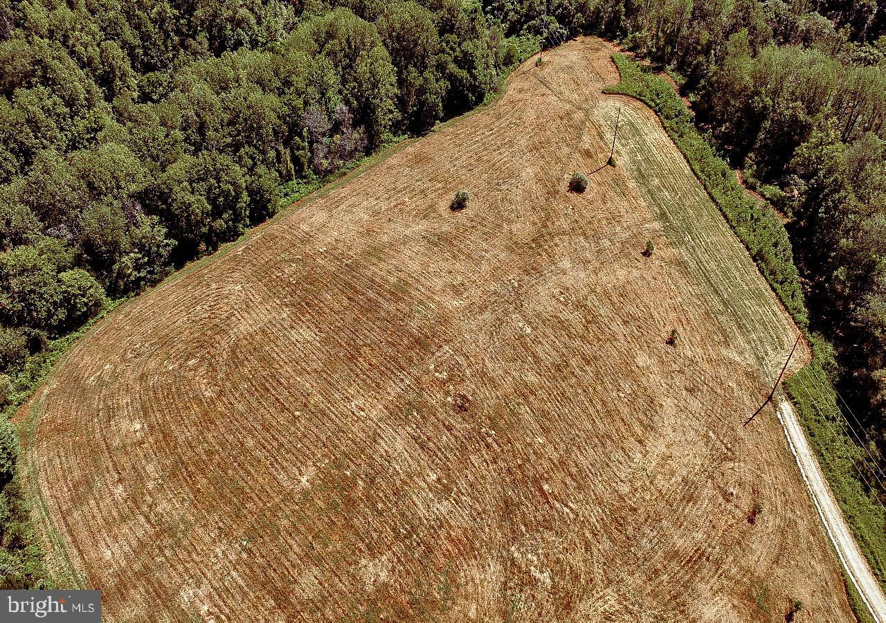 N/a North Tannery Road Westminster, MD 21157 - Photo 11 of 20 a view of a dry yard with trees