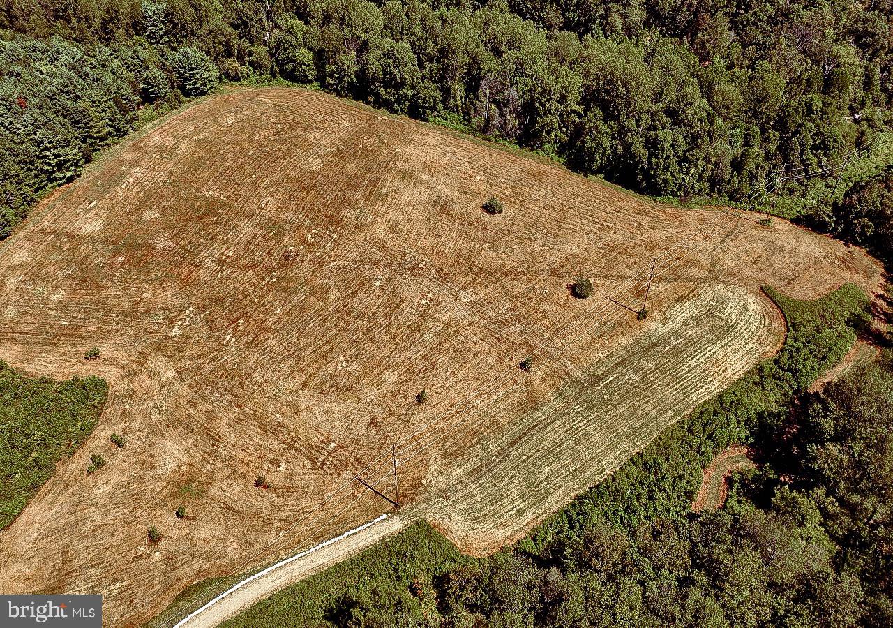N/a North Tannery Road Westminster, MD 21157 - Photo 13 of 20 a view of a yard