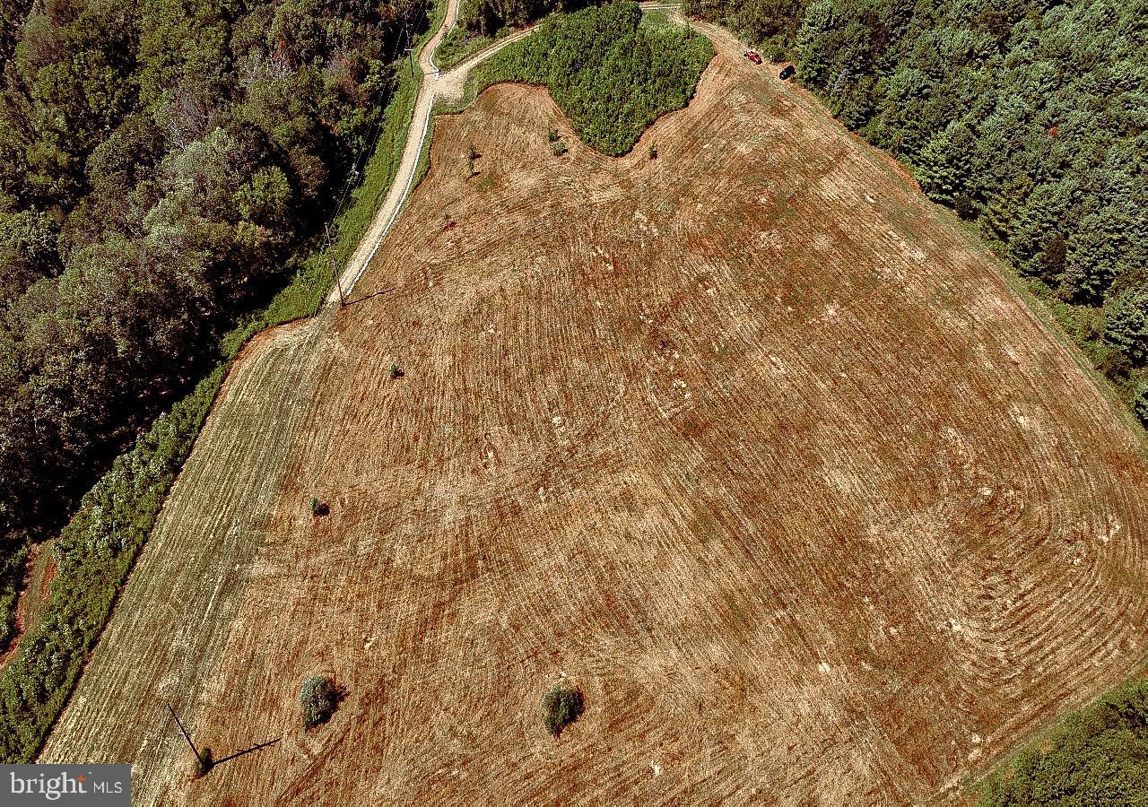 N/a North Tannery Road Westminster, MD 21157 - Photo 14 of 20 a view of tall trees