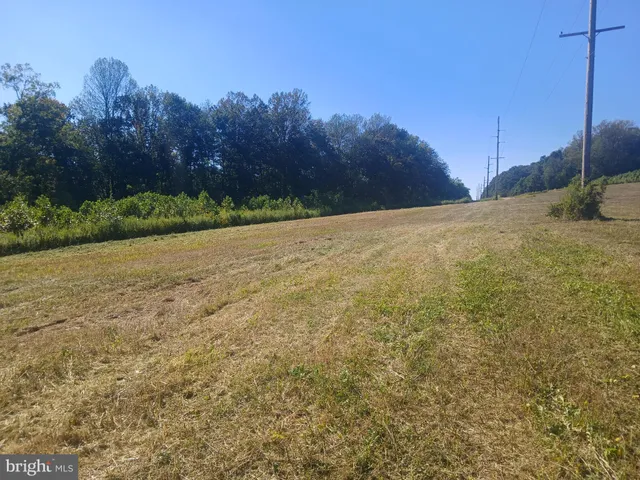 a view of a backyard of the house