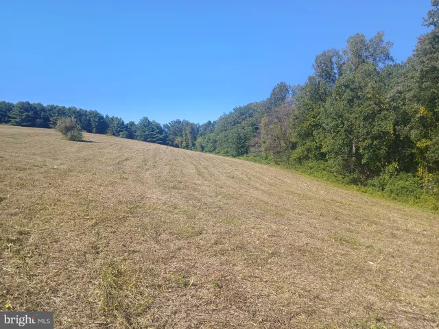 a view of a dry yard with trees in the background