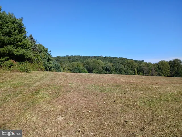 a view of an outdoor space and a yard