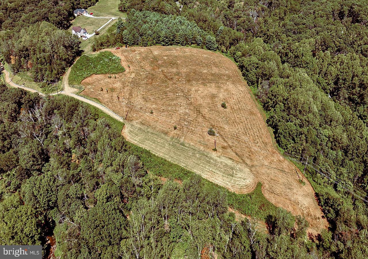 N/a North Tannery Road Westminster, MD 21157 - Photo 6 of 20 a view of a yard with large trees