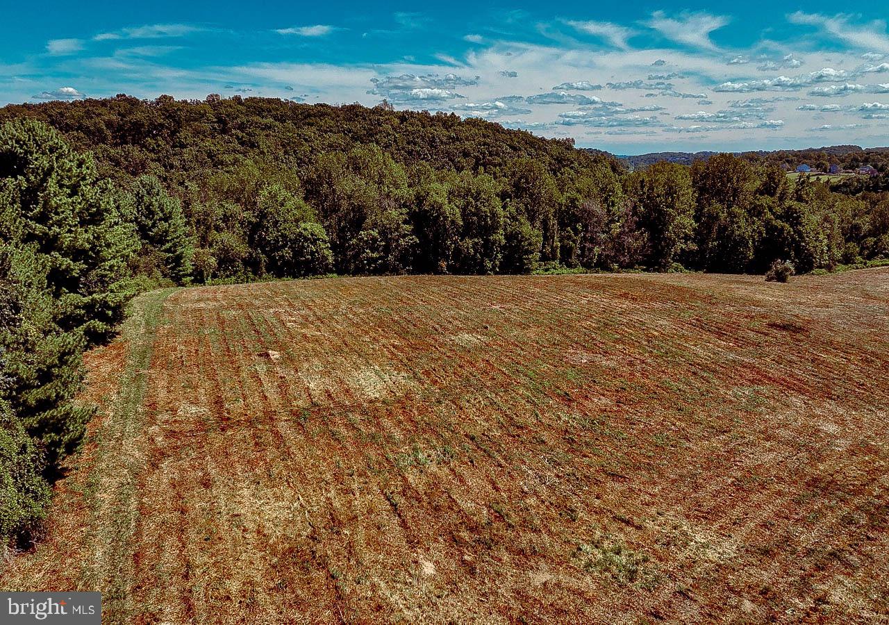 N/a North Tannery Road Westminster, MD 21157 - Photo 10 of 20 a view of an outdoor space