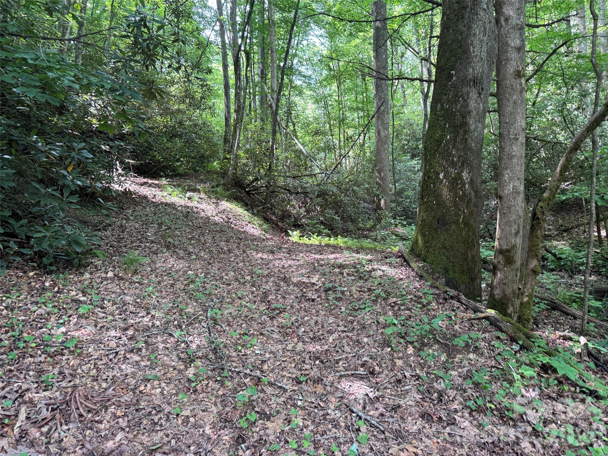10 A Reserve Road Pisgah Forest, NC 28768 - Photo 2 of 33
