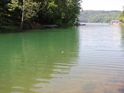Lot 51 Cove Pointe Road La Follette, TN 37766 - Photo 1 of 18 Primary Photo