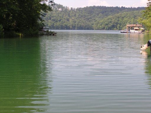 Lot 51 Cove Pointe Road La Follette, TN 37766 - Photo 3 of 18 Additional Photo