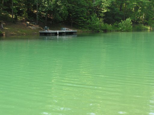 Lot 51 Cove Pointe Road La Follette, TN 37766 - Photo 4 of 18 Additional Photo